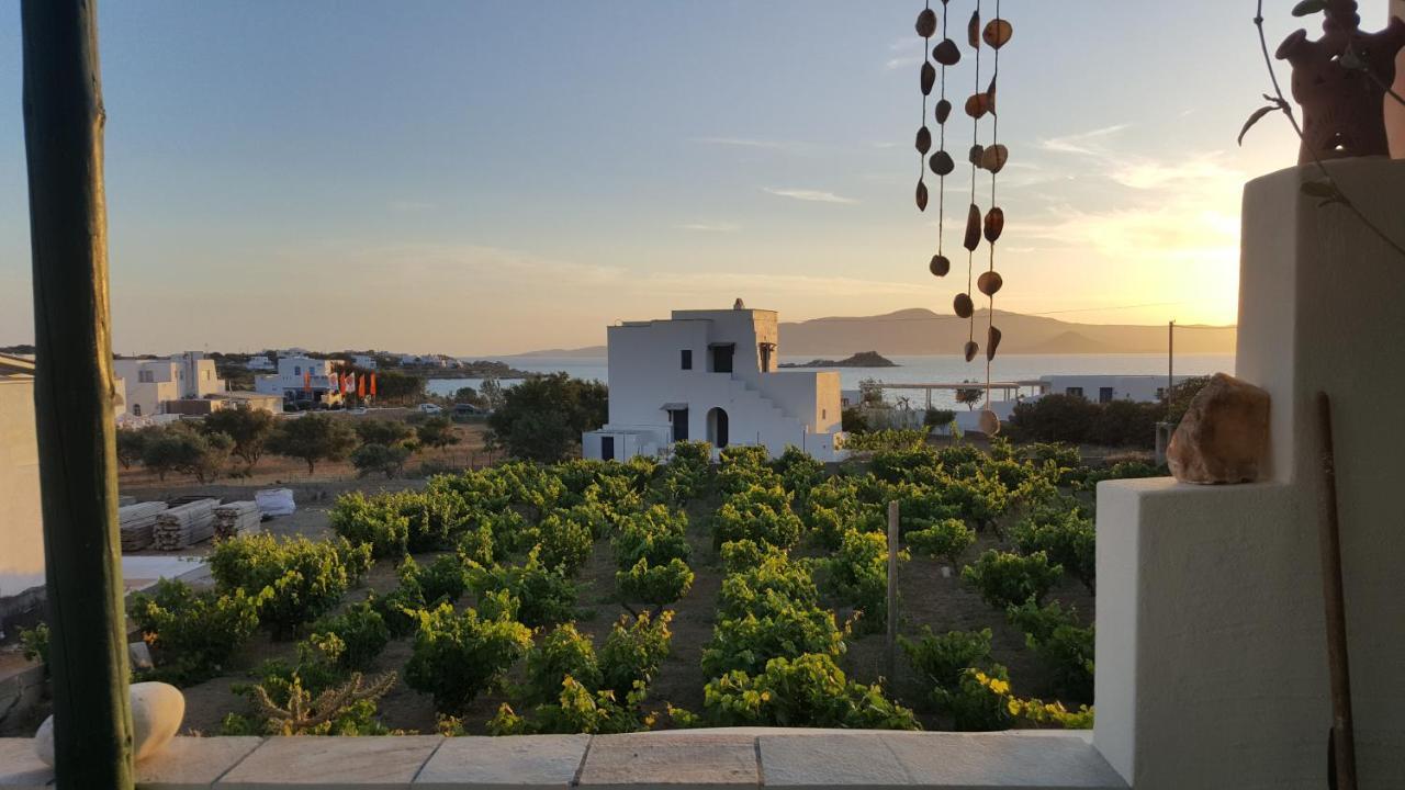 Matina Naxos - Mikri Vigla Guest House Room photo
